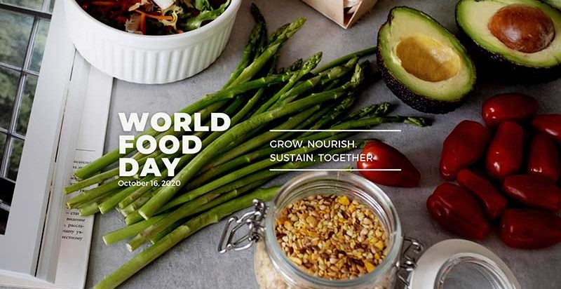 World food day